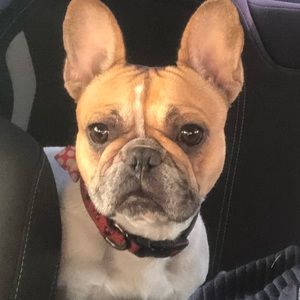 Meet your Posher, Jack